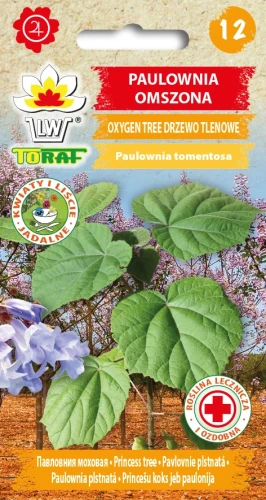 Paulownia-OMSZONA.webp