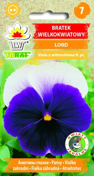 Bratek-wielkokwiatowy-LORD.webp