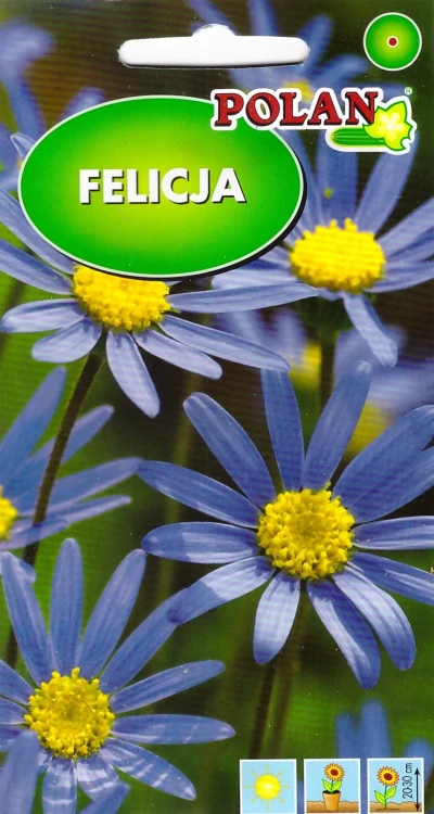 felicja.webp