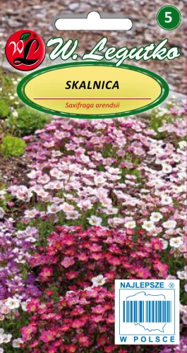 Skalnica-mieszanka.webp
