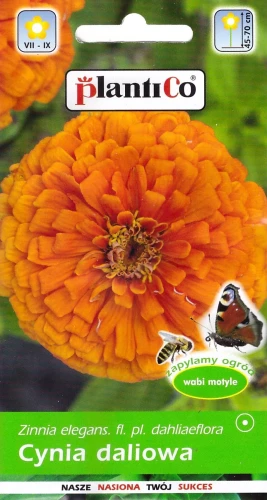 cynia-orange-king.webp
