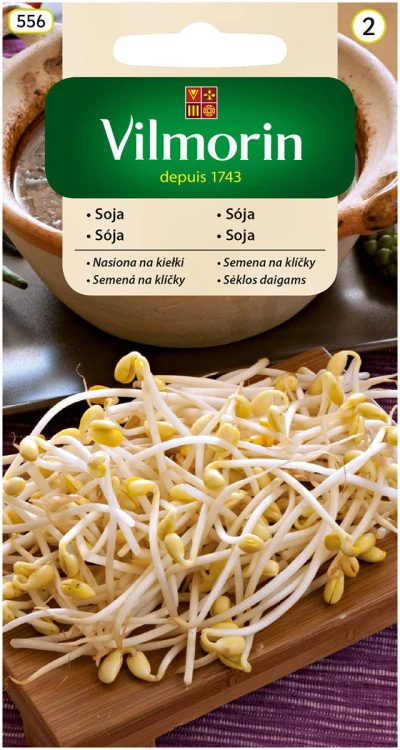 soja-na-kiełki.webp