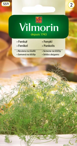 fenkuł-na-kiełki.webp