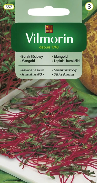 burak-liściowy-na-kiełki.webp
