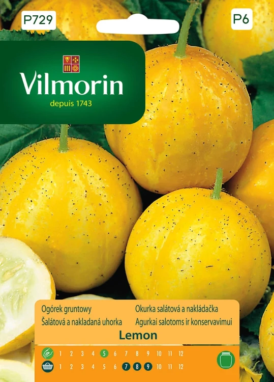 ogórek-lemon.webp