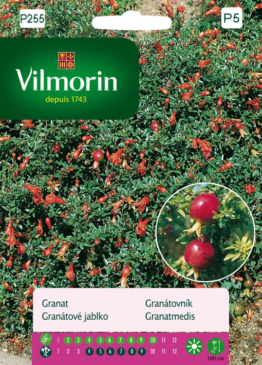 granat.webp