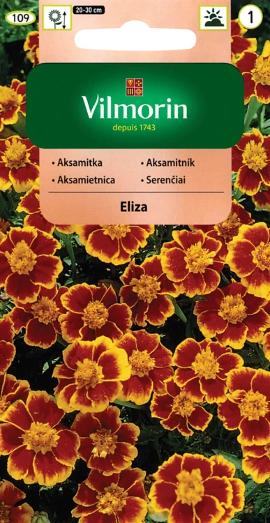 aksamitka-eliza.webp