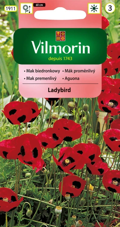 mak-biedronkowy.webp