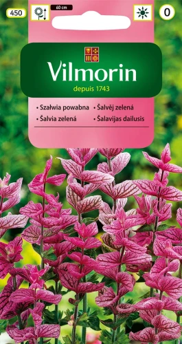 szałwia-powabna.webp