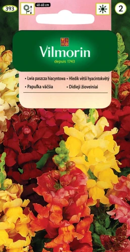 lwia-paszcza-hiacyntowa.webp