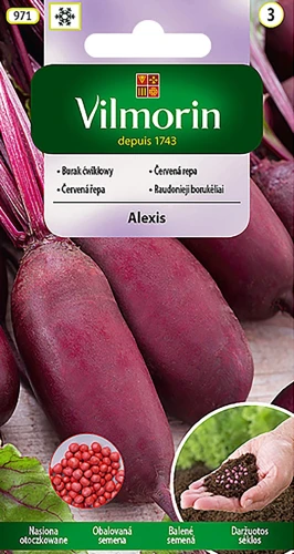 burak-alexis.webp