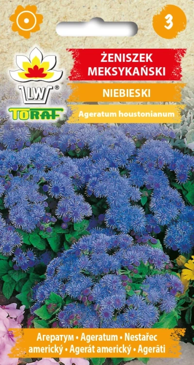 Żeniszek-meksykański-niebieski.webp
