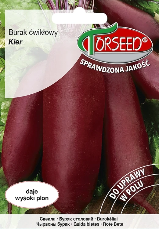 Burak-ćw.-Kier.webp