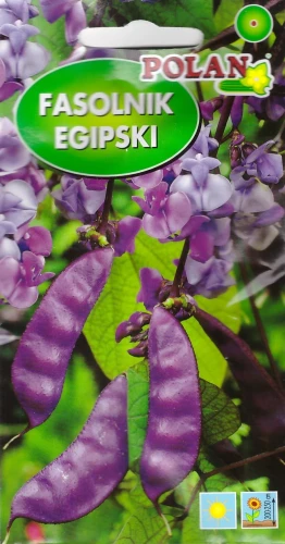 fasolnik-egipski.webp