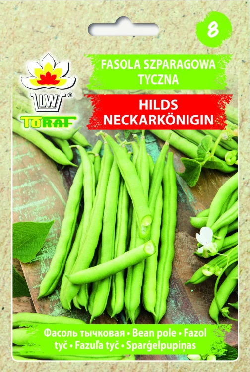 Fasola-HILDS-NECKARKONIGIN.webp