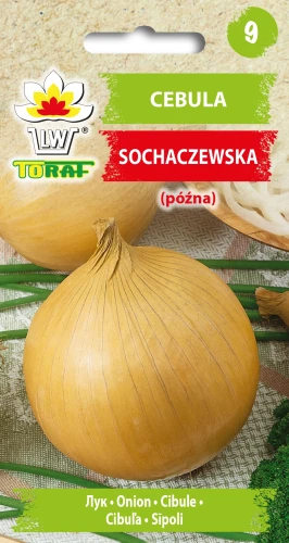 Cebula-SOCHACZEWSKA.webp
