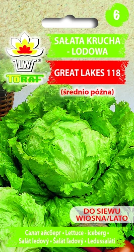 Sałata-GREAT-LAKES-118.webp