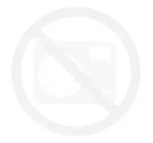 tulipan-apeldoorn-czerwony.webp