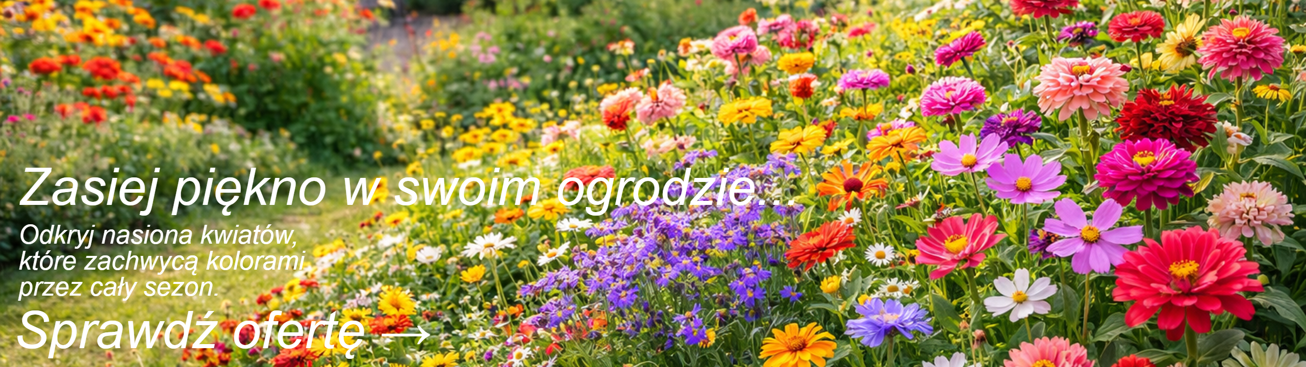 baner_kwiaty