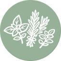 Nasiona_ziół