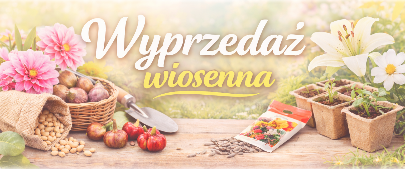 Wyprzedaż wiosenna