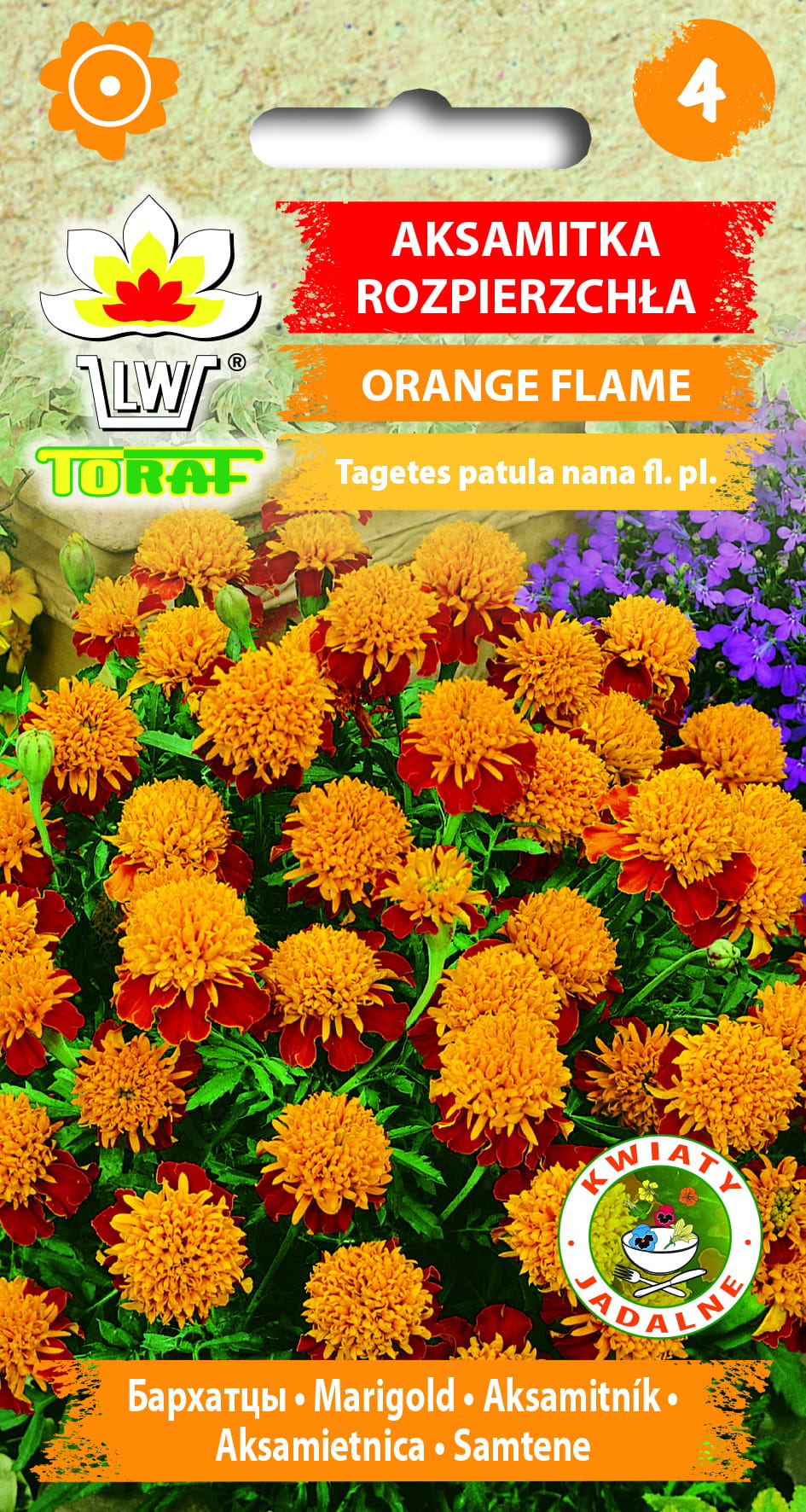 Aksamitka-rozpierzchła-ORANGE-FLAME.jpg