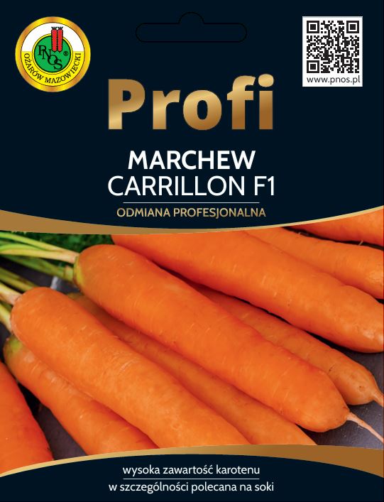 marchew carrillon.JPG
