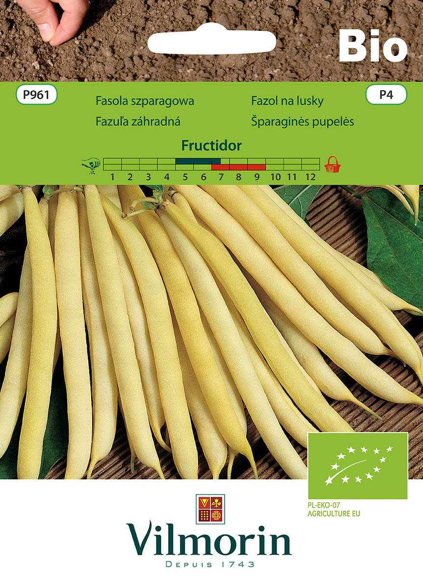 fasola fructidor bio.jpg