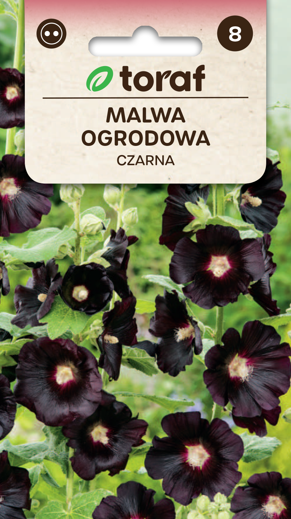 Malwa ogrodowa czarna.png