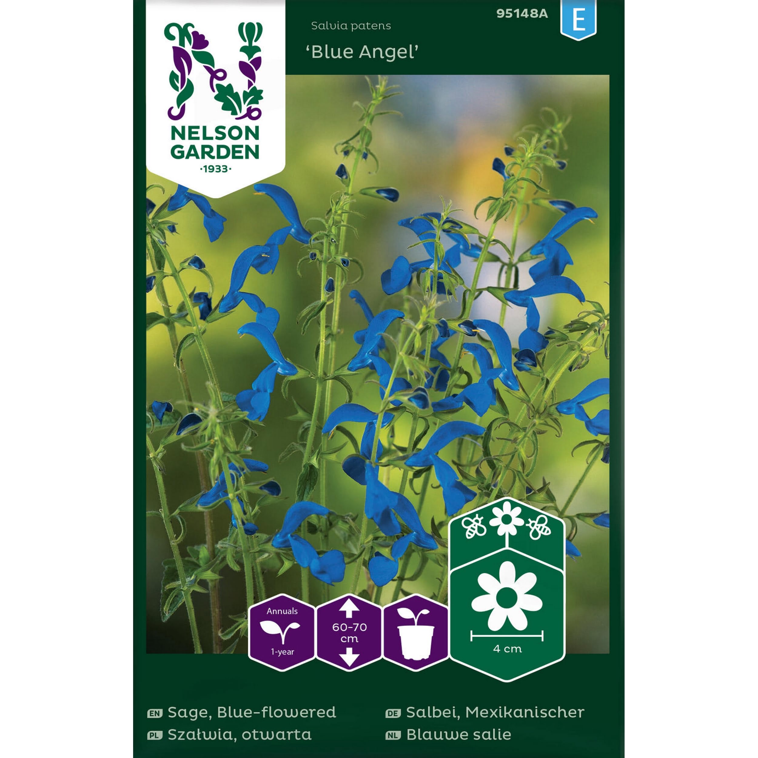 szalwia_otwarta_blue_angel_jasnoniebieski_nelson_garden.jpg