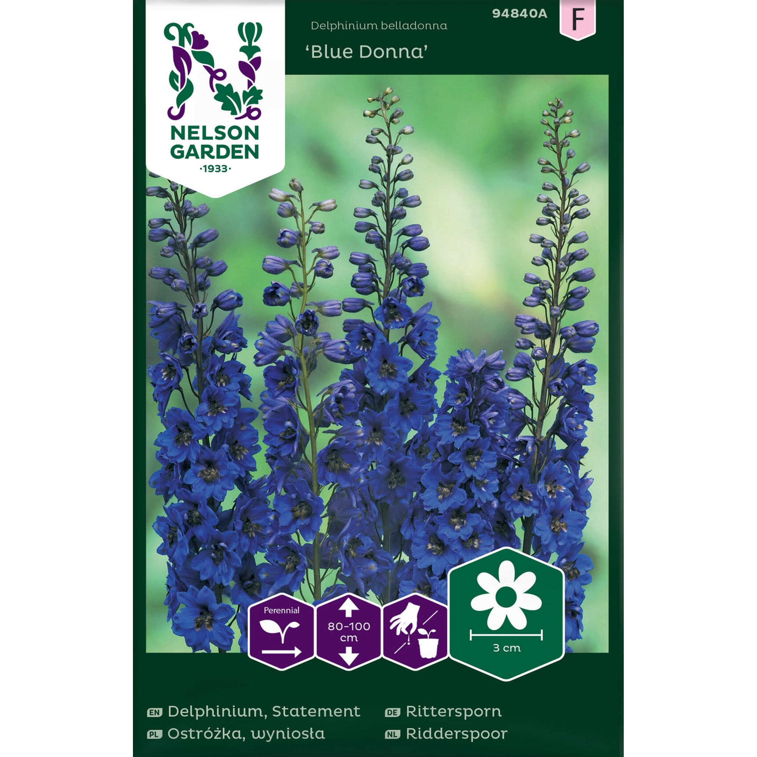 ostrozka_wyniosla_blue_donna_niebieskia_nelson_garden.jpg