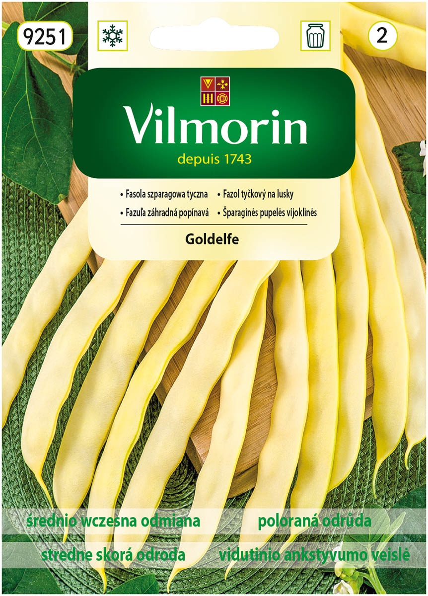 fasola Goldelfe.jpg
