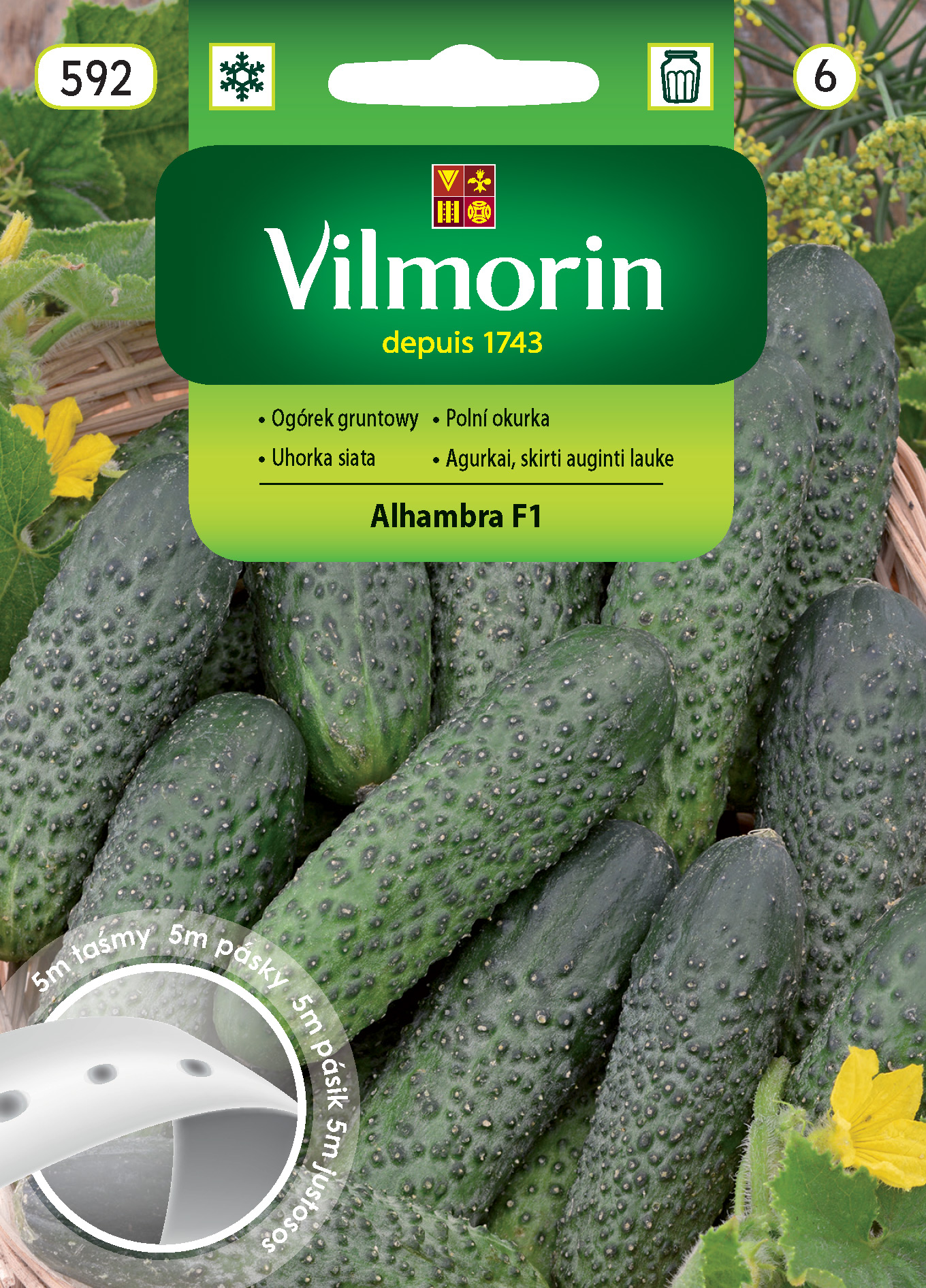ogórek Alhambra na taśmie.jpg