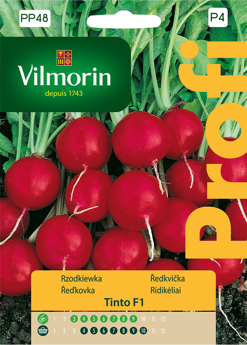 rzodkiewka Tinto.jpg