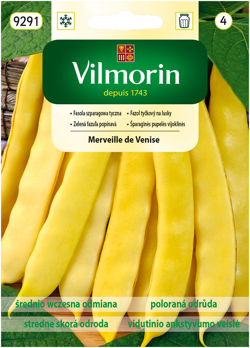 fasola Merveille de Venise.jpg