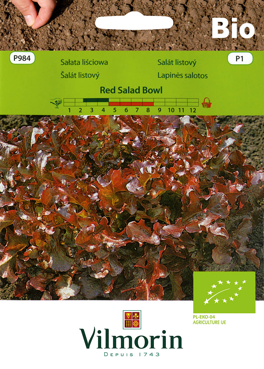 sałata Red Salad Bowl Bio.jpg