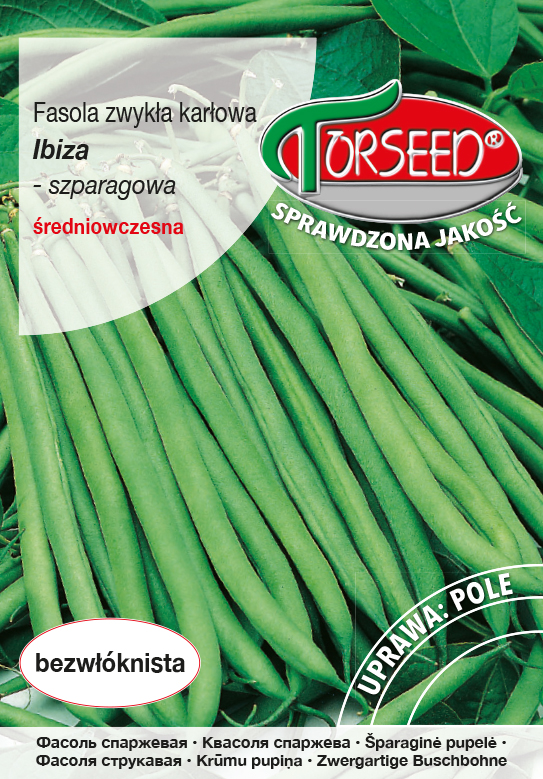 Fasola szparagowa Ibiza.jpg