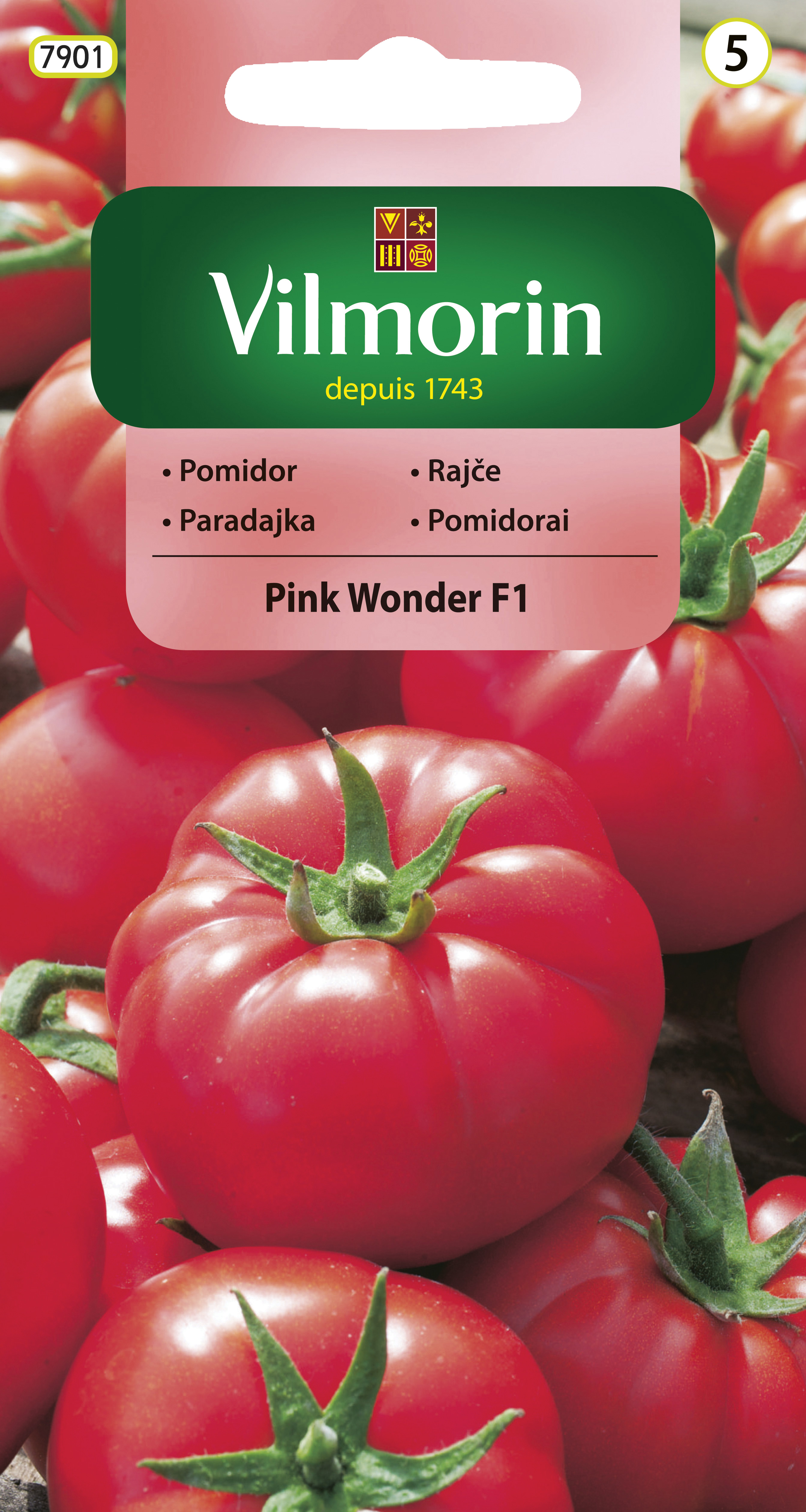 pomidor Pink Wonder.jpg
