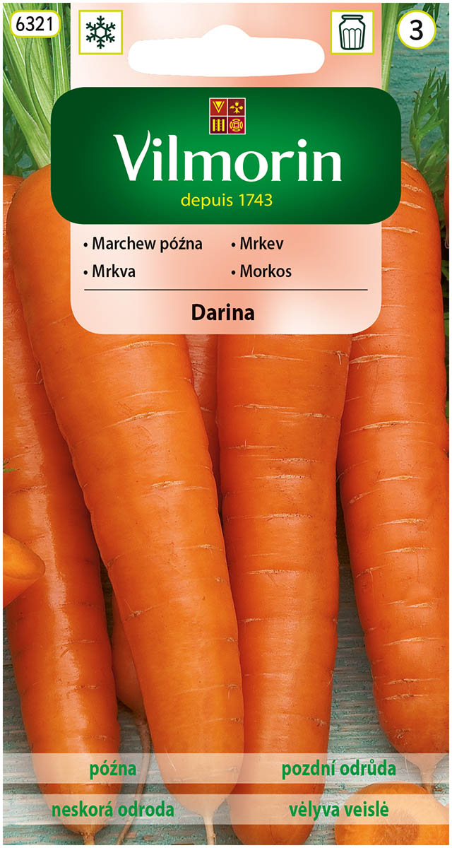 marchew Darina.jpg