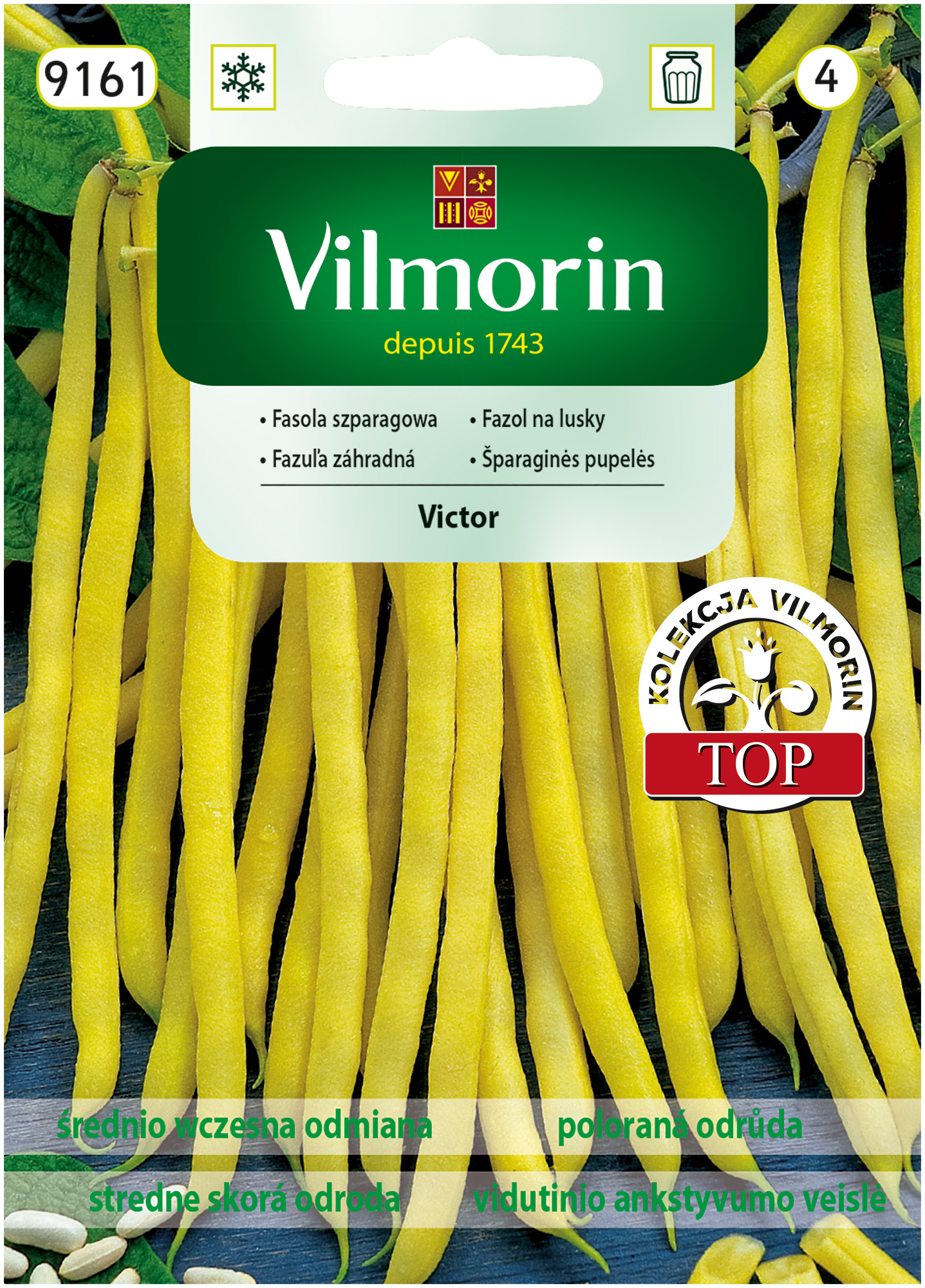 fasola Victor.jpg
