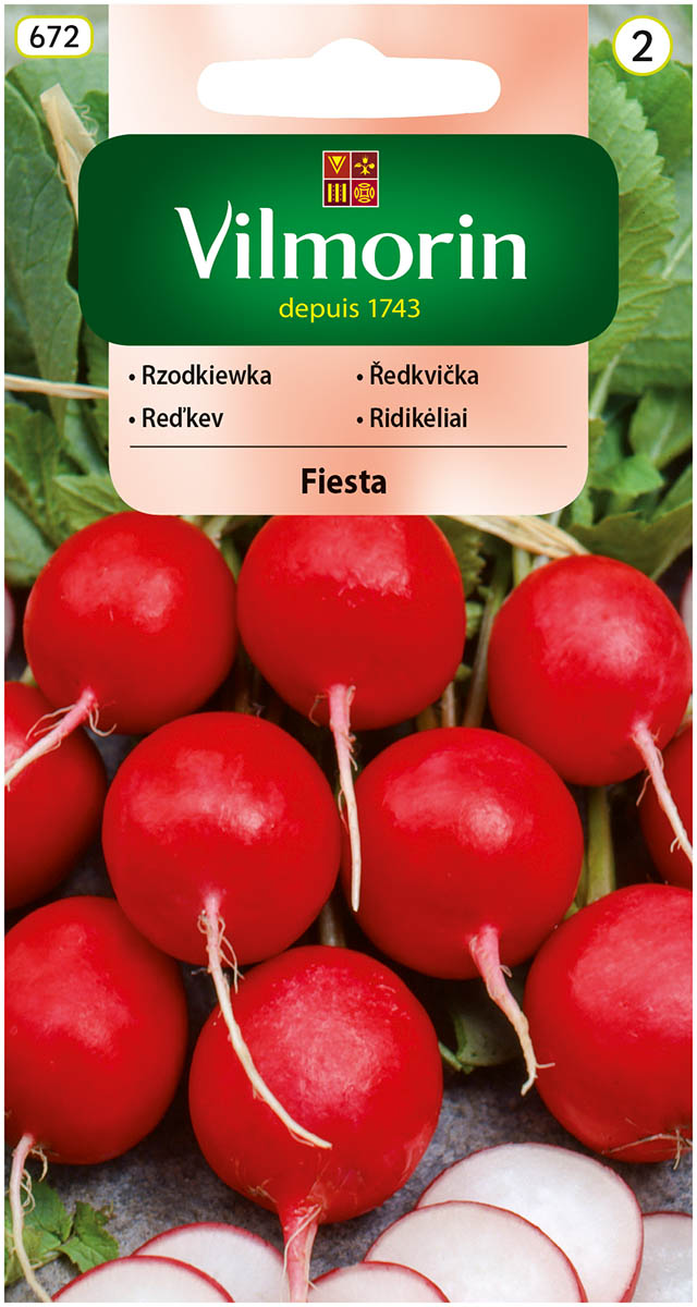 rzodkiewka Fiesta.jpg