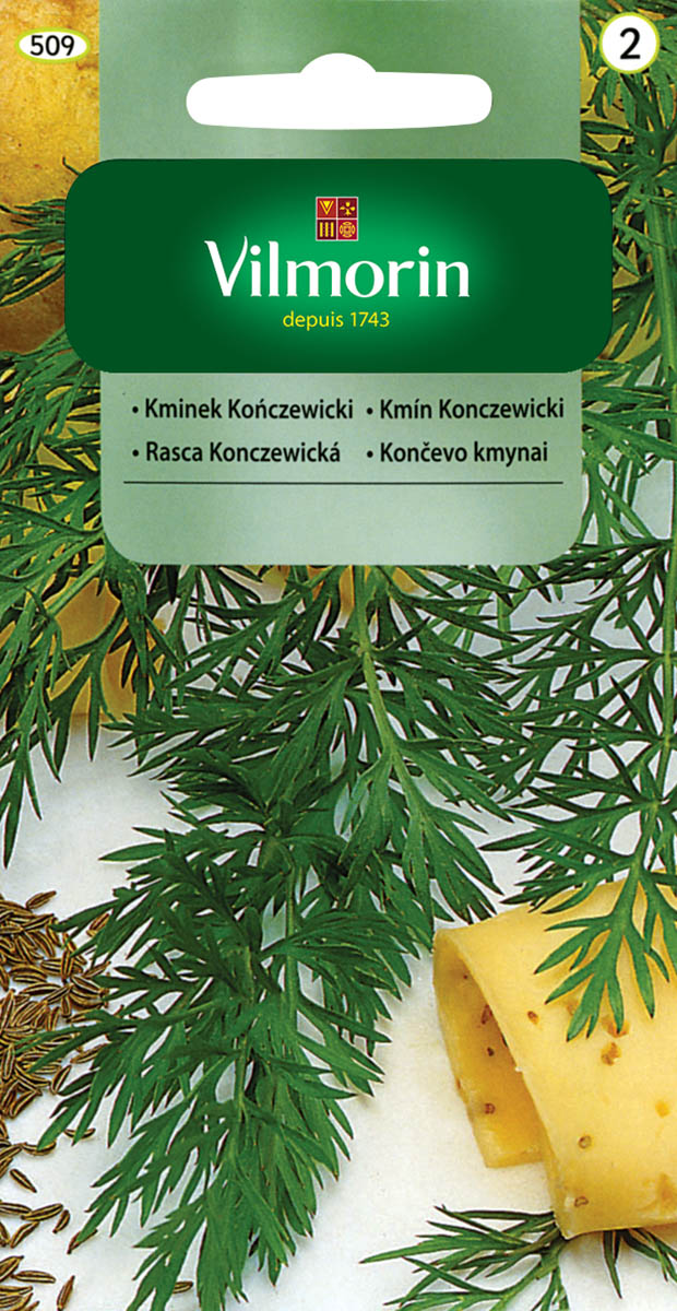kminek.jpg