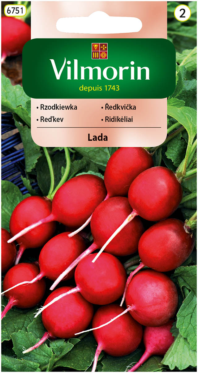rzodkiewka Lada.jpg