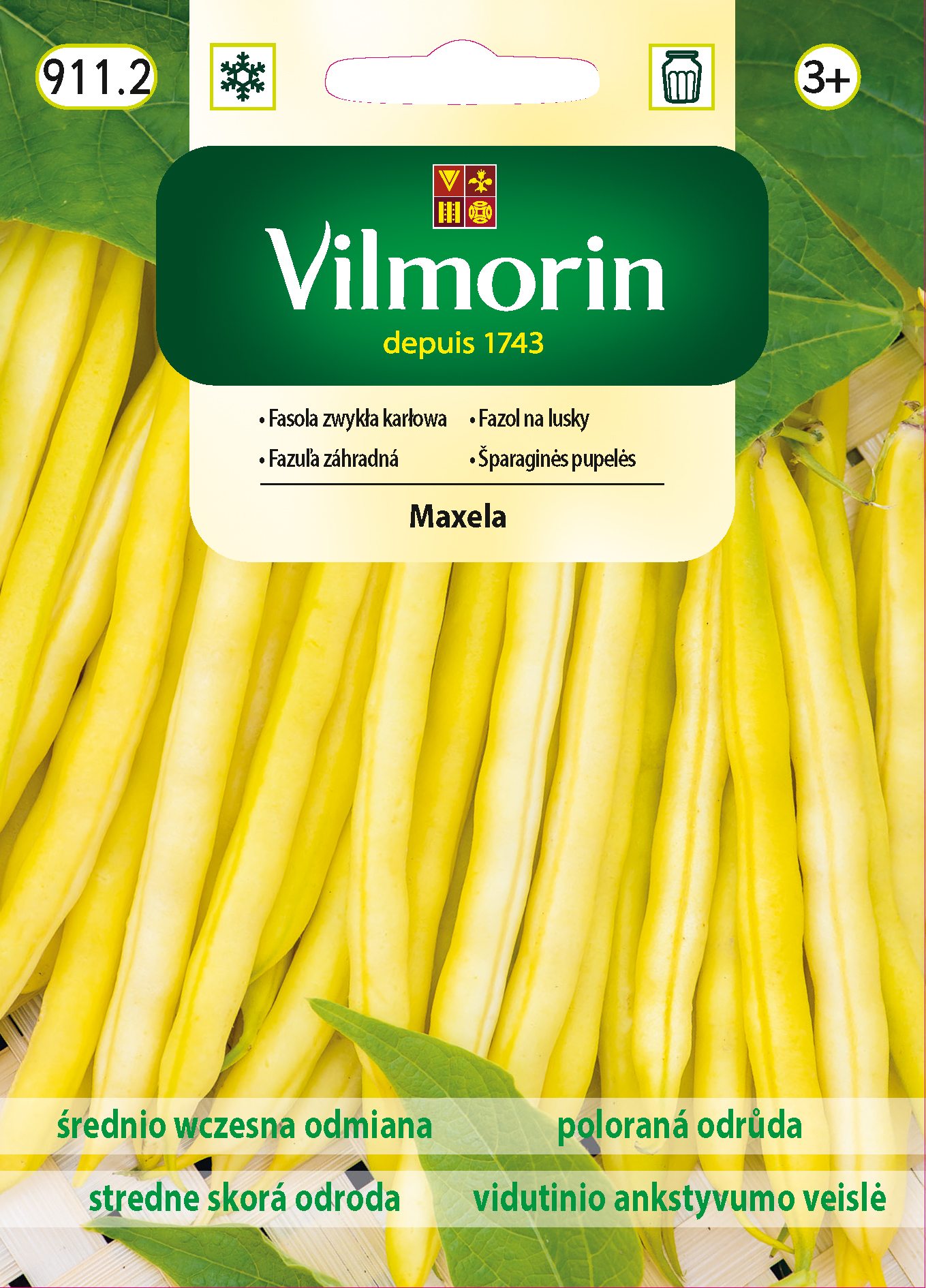 fasola Maxela.jpg