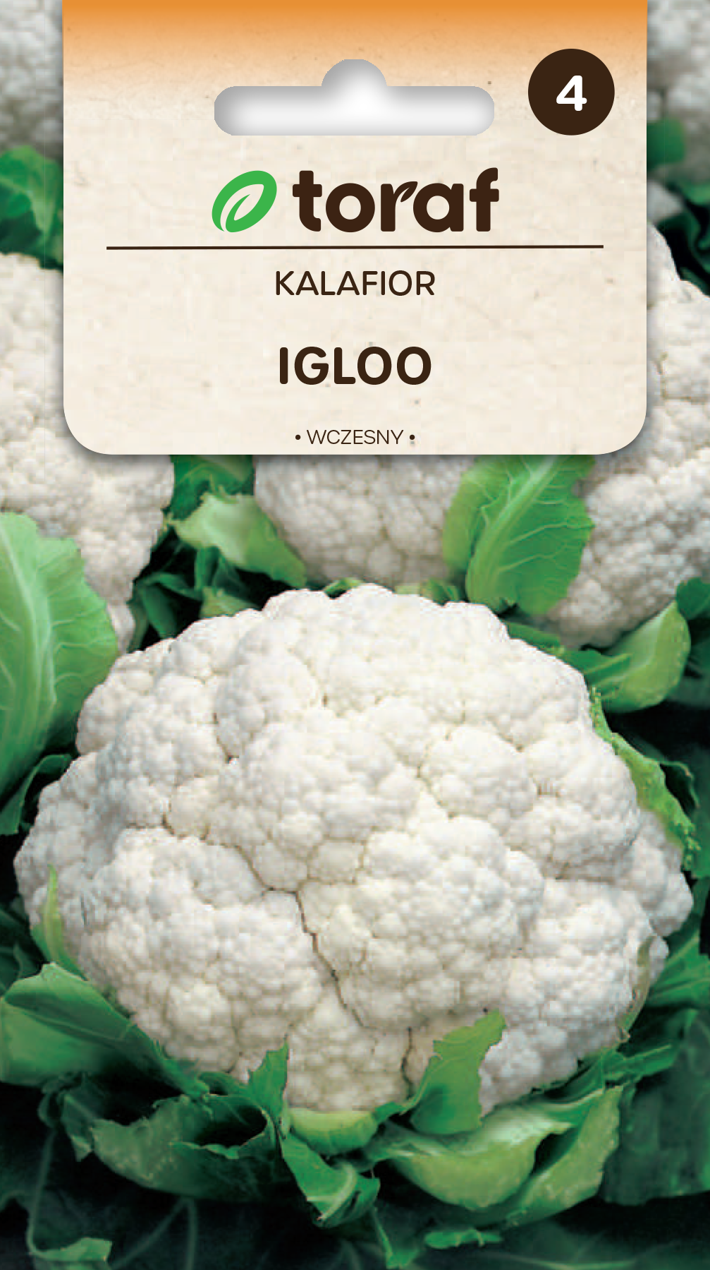 Kalafior IGLOO.png